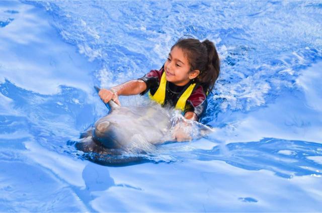 nager avec les dauphins