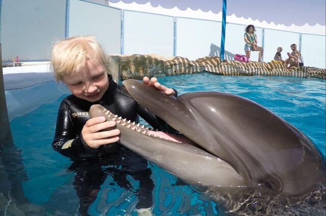 photo avec les dauphins