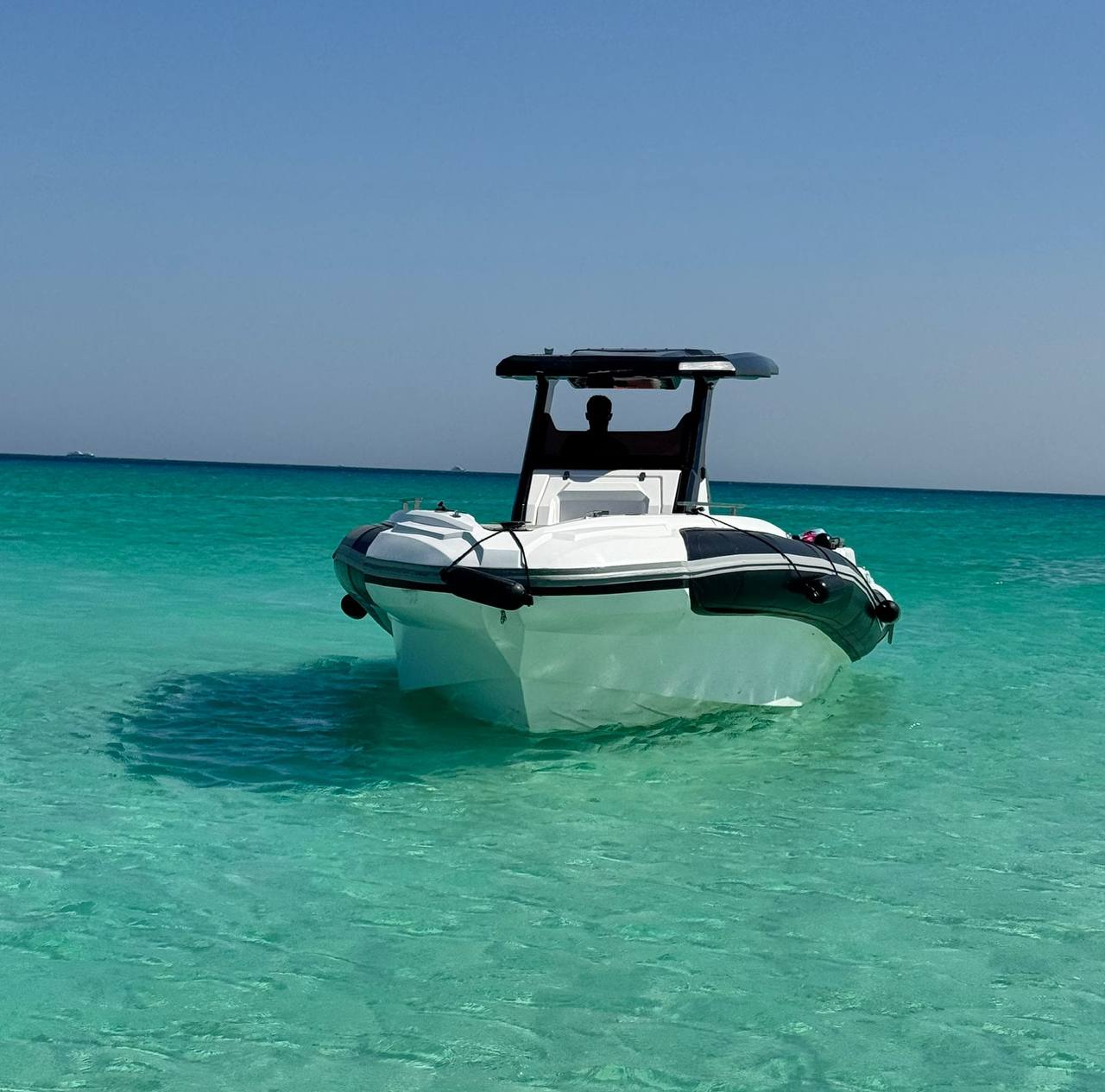 Maison des Dauphins , Snorkelling , White Island & Speed Boat