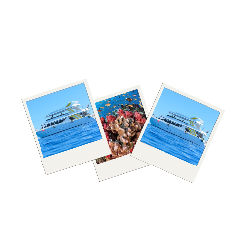 Bateau privé en famille