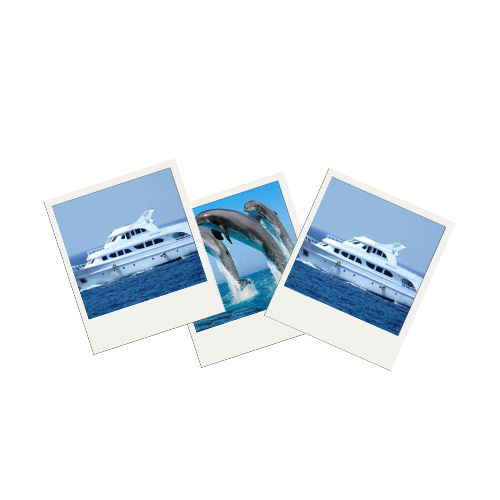 Bateau privé - Maison des dauphins